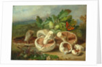 Still Life With Mushrooms Etc., 1859 by Unknown Artist