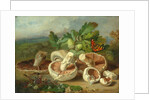 Still Life With Mushrooms Etc., 1859 by Unknown Artist