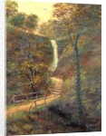 Shanklin Chine, Isle of Wight , 1911 by J. Wilby