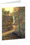 Shanklin Chine, Isle of Wight , 1911 by J. Wilby
