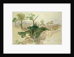 Temple at Bassae, 1849 by Edward Lear