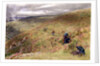 On the South Downs, 1879 by Albert Goodwin