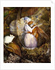 Fairy Lovers in a Bird's Nest Watching a White Mouse, c.1860 by John Anster Fitzgerald