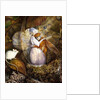 Fairy Lovers in a Bird's Nest Watching a White Mouse, c.1860 by John Anster Fitzgerald