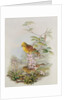 Yellowhammer, 1873 by John Gould
