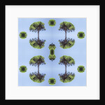 Unnatural 118 by Giovanni Cafagna