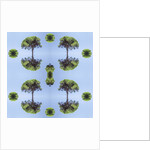 Unnatural 118 by Giovanni Cafagna