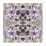 Unnatural 159 by Giovanni Cafagna