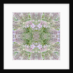 Unnatural 161 by Giovanni Cafagna