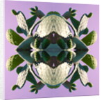 Unnatural 196 by Giovanni Cafagna