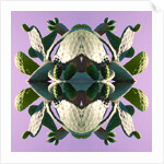 Unnatural 196 by Giovanni Cafagna