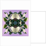 Unnatural 196 by Giovanni Cafagna