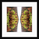 Unnatural 77 by Giovanni Cafagna