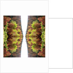 Unnatural 77 by Giovanni Cafagna