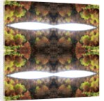 Unnatural 77.1 by Giovanni Cafagna