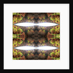 Unnatural 77.1 by Giovanni Cafagna