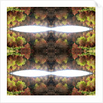 Unnatural 77.1 by Giovanni Cafagna