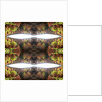 Unnatural 77.1 by Giovanni Cafagna