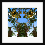 Unnatural 78 by Giovanni Cafagna