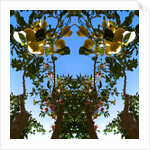 Unnatural 78 by Giovanni Cafagna