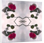 Unnatural 80 by Giovanni Cafagna