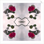 Unnatural 80 by Giovanni Cafagna