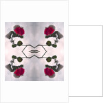 Unnatural 80 by Giovanni Cafagna