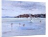 Windsurfer and Bathers by Christopher Glanville