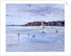 Windsurfer and Bathers by Christopher Glanville
