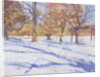 Winter, Richmond Park by Christopher Glanville