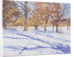 Winter, Richmond Park by Christopher Glanville