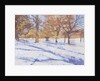 Winter, Richmond Park by Christopher Glanville
