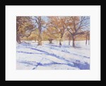 Winter, Richmond Park by Christopher Glanville