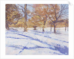 Winter, Richmond Park by Christopher Glanville