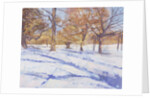 Winter, Richmond Park by Christopher Glanville