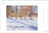 Winter, Richmond Park by Christopher Glanville