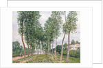The Avenue of Poplars along the Banks of the Loing, 1892 by Alfred Sisley
