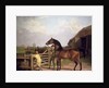 Bay Ascham, a stallion led through a gate to a mare, 1804 by Jacques-Laurent Agasse