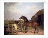 Bay Ascham, a stallion led through a gate to a mare, 1804 by Jacques-Laurent Agasse