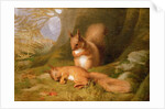 Squirrels in a Wood, 1874 by Robert Collinson