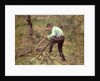 Pere Melon Sawing Wood, Pontoise, 1879 by Camille Pissarro