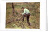 Pere Melon Sawing Wood, Pontoise, 1879 by Camille Pissarro