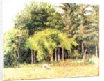 The Arbour at Eragny, 1893 by Camille Pissarro