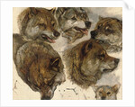 Studies of huskies' heads by George Bouverie Goddard