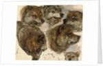 Studies of huskies' heads by George Bouverie Goddard