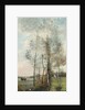 Copse of Alder and Birch, 1865-70 by Jean Baptiste Camille Corot