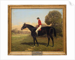 Iroquois with Fred Archer, winner of the Epsom Derby, St. Leger and Prince of Wales Stakes in 1881, 1895 by Henry Stull