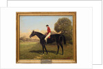 Iroquois with Fred Archer, winner of the Epsom Derby, St. Leger and Prince of Wales Stakes in 1881, 1895 by Henry Stull
