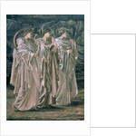 The Challenge in the Wilderness, 1874-98 by Edward Coley Burne-Jones