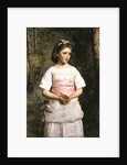 Dropped from the Nest by John Everett Millais